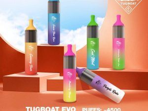 TUGBOAT EVO 4500 PUFFS