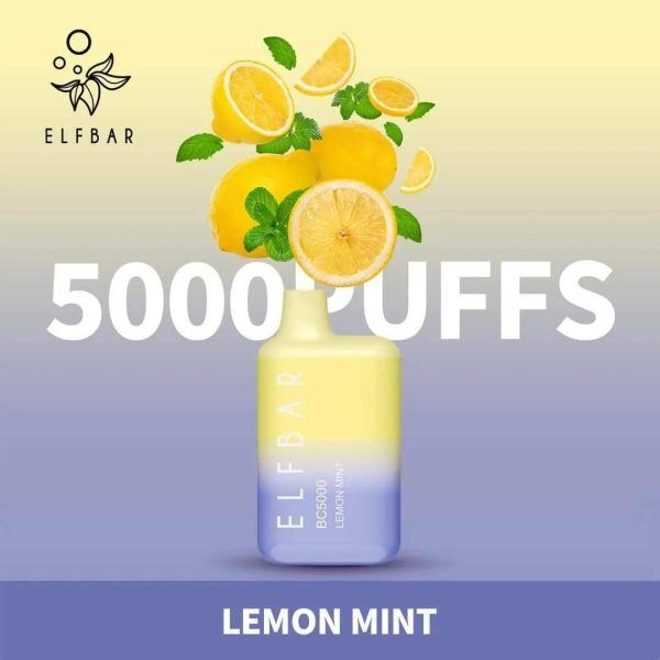 ELF BAR BC5000 5000 Puffs Disposable Vape - 13ML