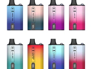  KK 12000 Puffs Disposable