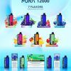 Pura 12000 puffs vape