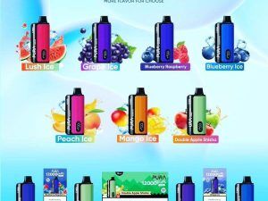 Pura 12000 puffs vape