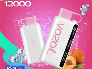 VOZOL Star 12K 12000 Puffs