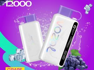 VOZOL Star 12K 12000 Puffs