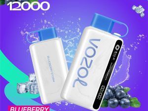 VOZOL Star 12K 12000 Puffs
