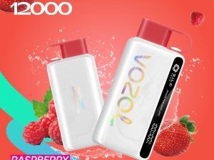 VOZOL Star 12K 12000 Puffs
