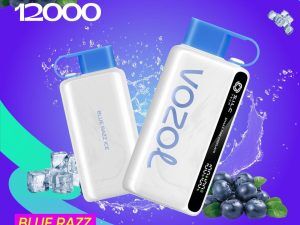 VOZOL Star 12K 12000 Puffs