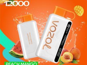 VOZOL Star 12K 12000 Puffs