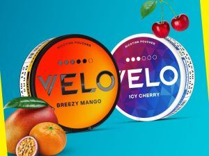 Velo Nicotine Pouches