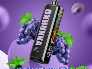 OXBAR OXHUKKA 25k Puffs in UAE